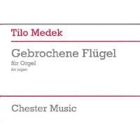 Gebrochene Flügel