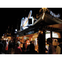 Eurolite Outdoor Spot 150W WFL black A