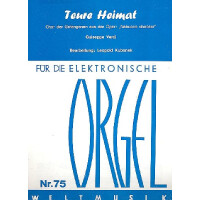 Teure Heimat für E-Orgel