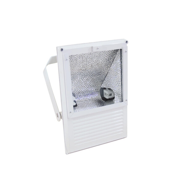 Eurolite Outdoor Spot 250W WFL white A