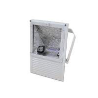 Eurolite Outdoor Spot 250W WFL white A