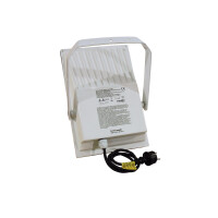 Eurolite Outdoor Spot 250W WFL white A