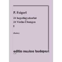 24 Violin-Übungen durch