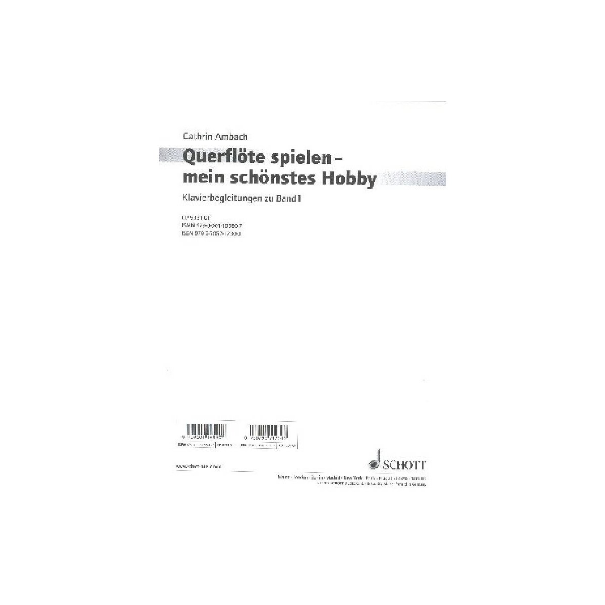 Querflöte spielen mein schönst box