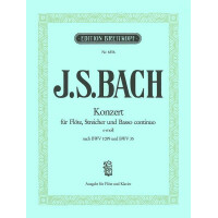 Konzert e-Moll nach BWV35