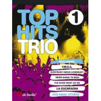 Top Hits Trio Band 1 für 3 Flöten