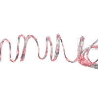 Eurolite 360 ??LED light bundle 3m red