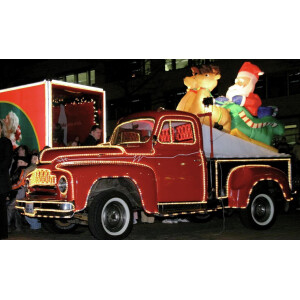 Eurolite RUBBERLIGHT RL1-230V grün 9m