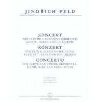 Konzert für Flöte und Orchester