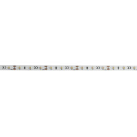Eurolite LED Strip 300 5m 3528 5700K 12V