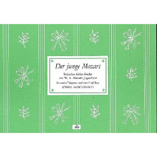 Der junge Mozart 16 kleine