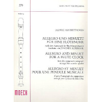 Allegro und Menuett für eine