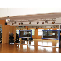 Eurolite T-36 Pinspot mit Stecker, silber