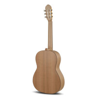 Gewa Pro Natura Gold 4/4 Cherry