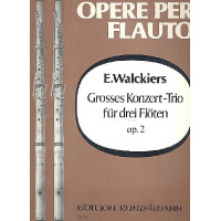 Großes Konzert-Trio op.2