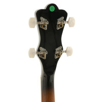 Gewa Banjo Select 4-string