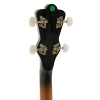 Gewa Banjo Select 5-string