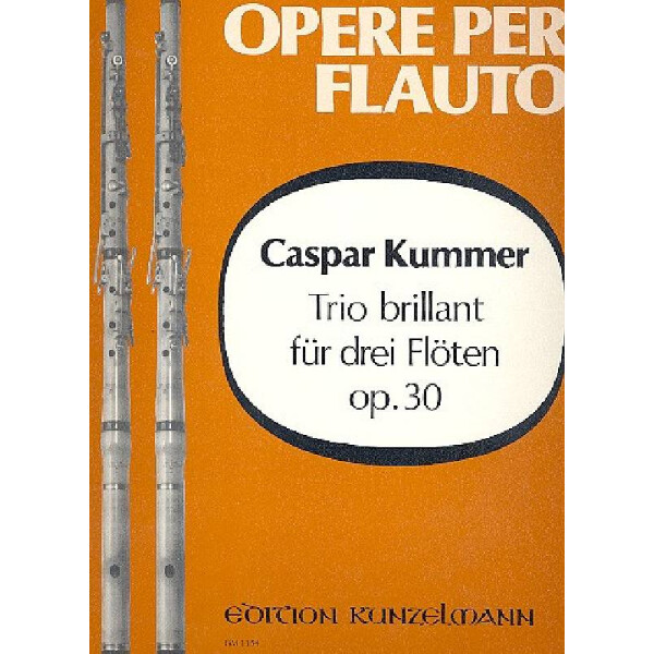Trio brillant D-Dur op.30