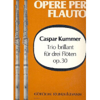 Trio brillant D-Dur op.30