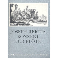 Konzert für Flöte und Orchester