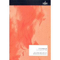 12 Capricen für Violine