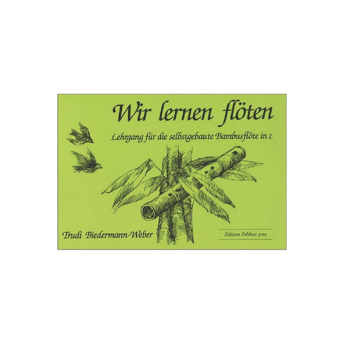 Wir lernen Flöte Kleiner Lehrgang box