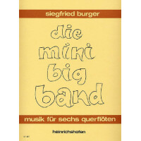 Die Mini Big Band Musik