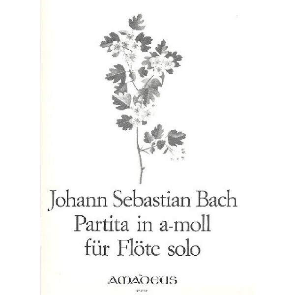 Partita a-Moll BWV1013 für Flöte solo