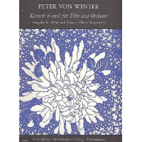 Konzert d-Moll für Flöte und Orchester