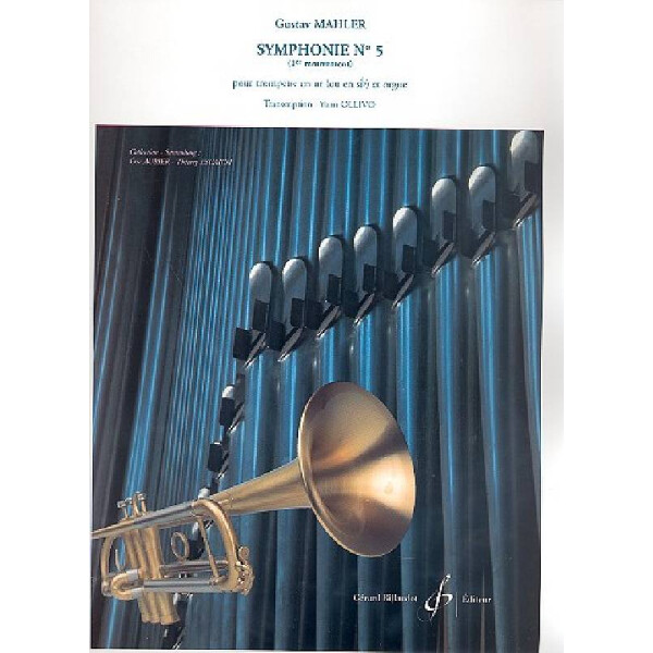 Symphonie no.5 1er mouvement