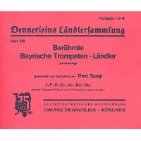 Dennerleins Ländlersammlung Band 8