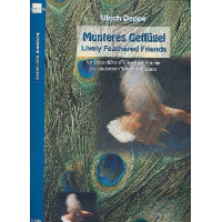 Munteres Geflügel für Blockflöte (Flöte)