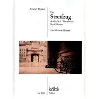 Streifzug durch die 1. Symphonie