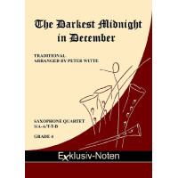 The Darkest Midnight in December
