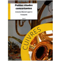 Petites études concertantes