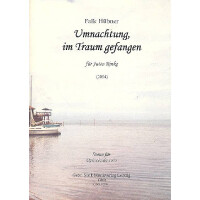 Umnachtung im Traum gefangen