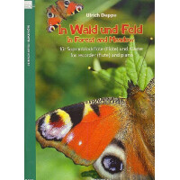 In Wald und Feld für Sopranblockflöte