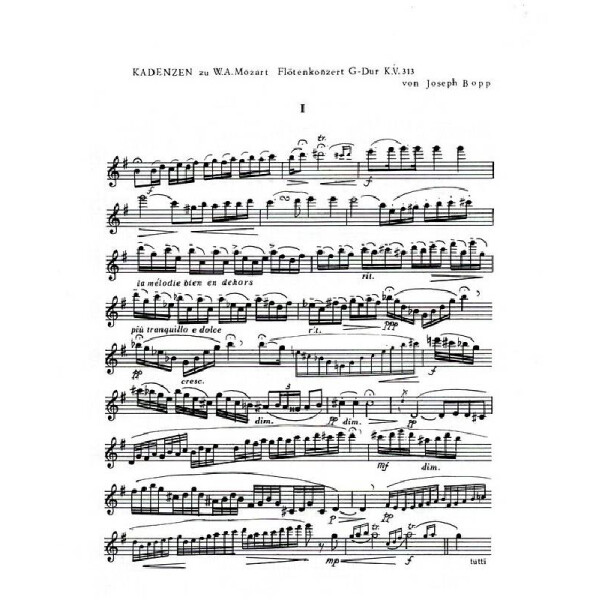 Kadenzen zu Flötenkonzert G-Dur KV313