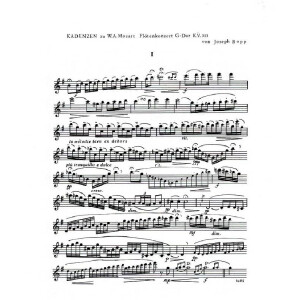 Kadenzen zu Flötenkonzert G-Dur KV313