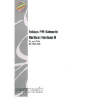 Vertical Horizon 2
