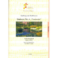 2. Satz (Ausschnitt) aus der Sinfonie