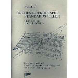 Orchesterprobespiel - Standardstellen