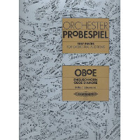 Orchester Probespiel