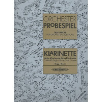 Orchester Probespiel