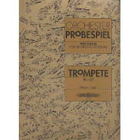 Orchester Probespiel