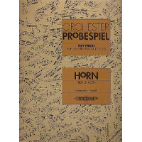 Orchester-Probespiel
