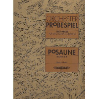 Orchester Probespiel