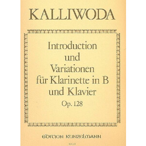 Introduction und Variationen op.128