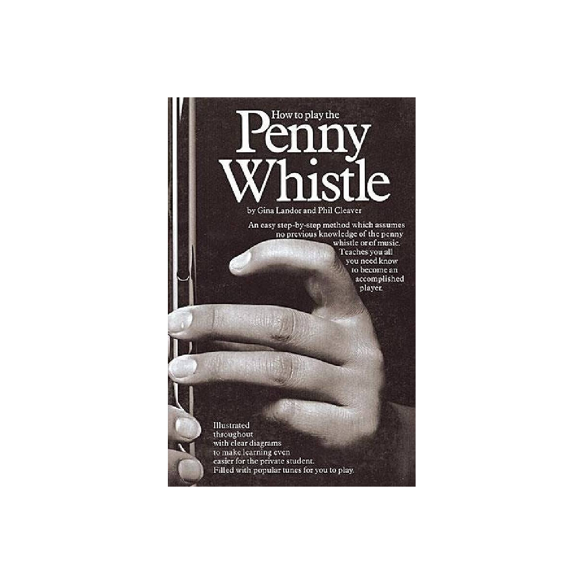 How to play the Penny Whistle box