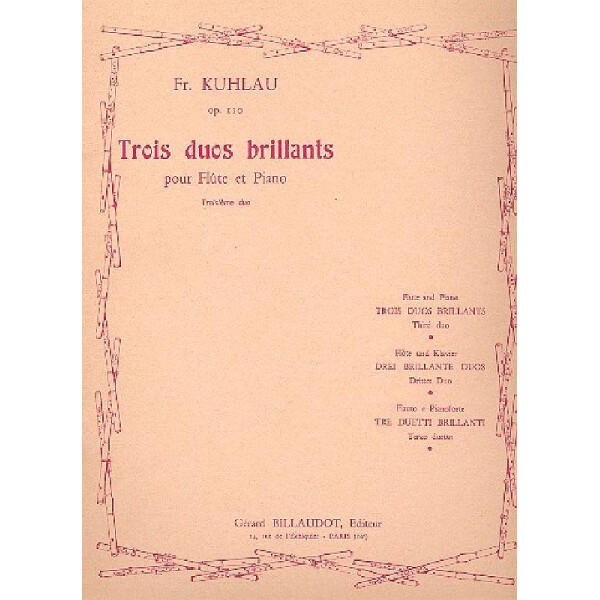 Duo brillant ré majeur op.110,3